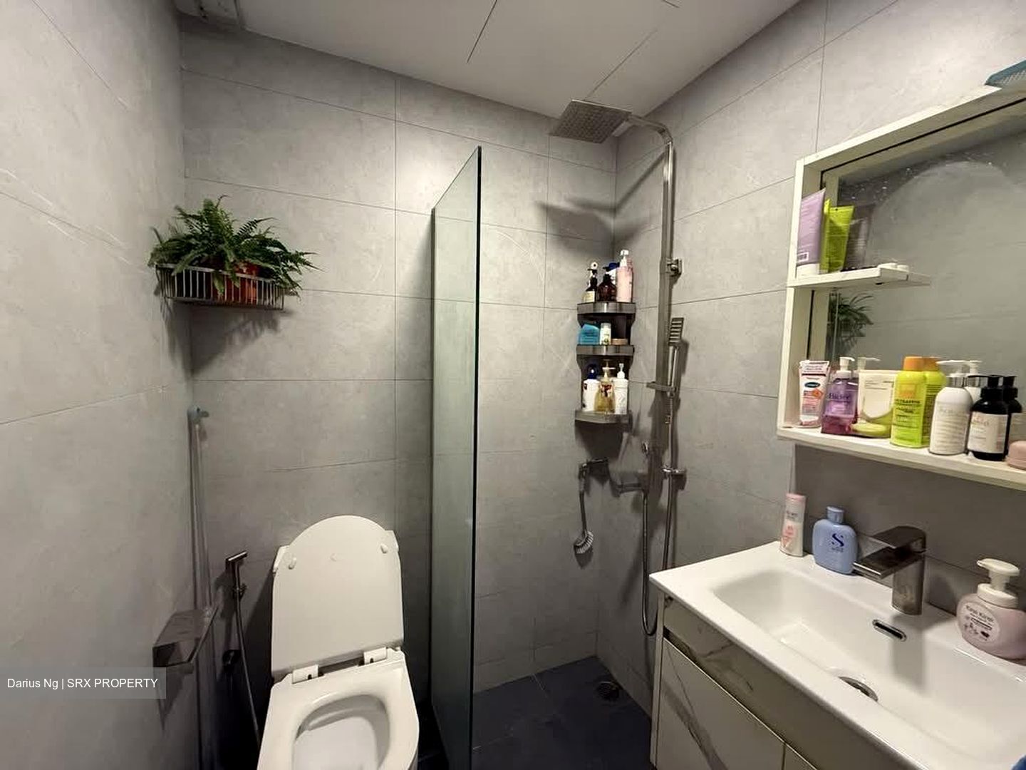 The Sunny Spring (D14), Apartment #603136241